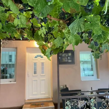 Apartament Pro Arte *