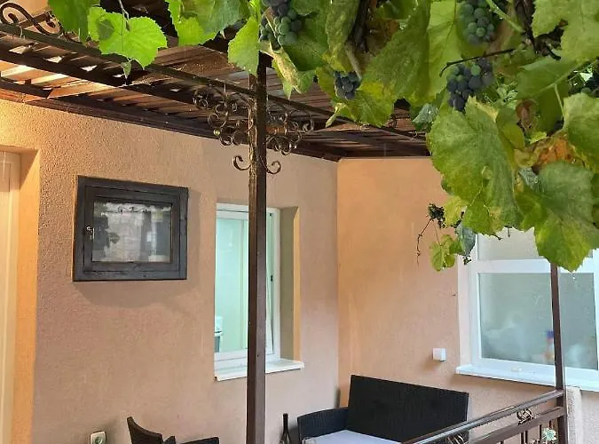 Pro Arte קלדאבו